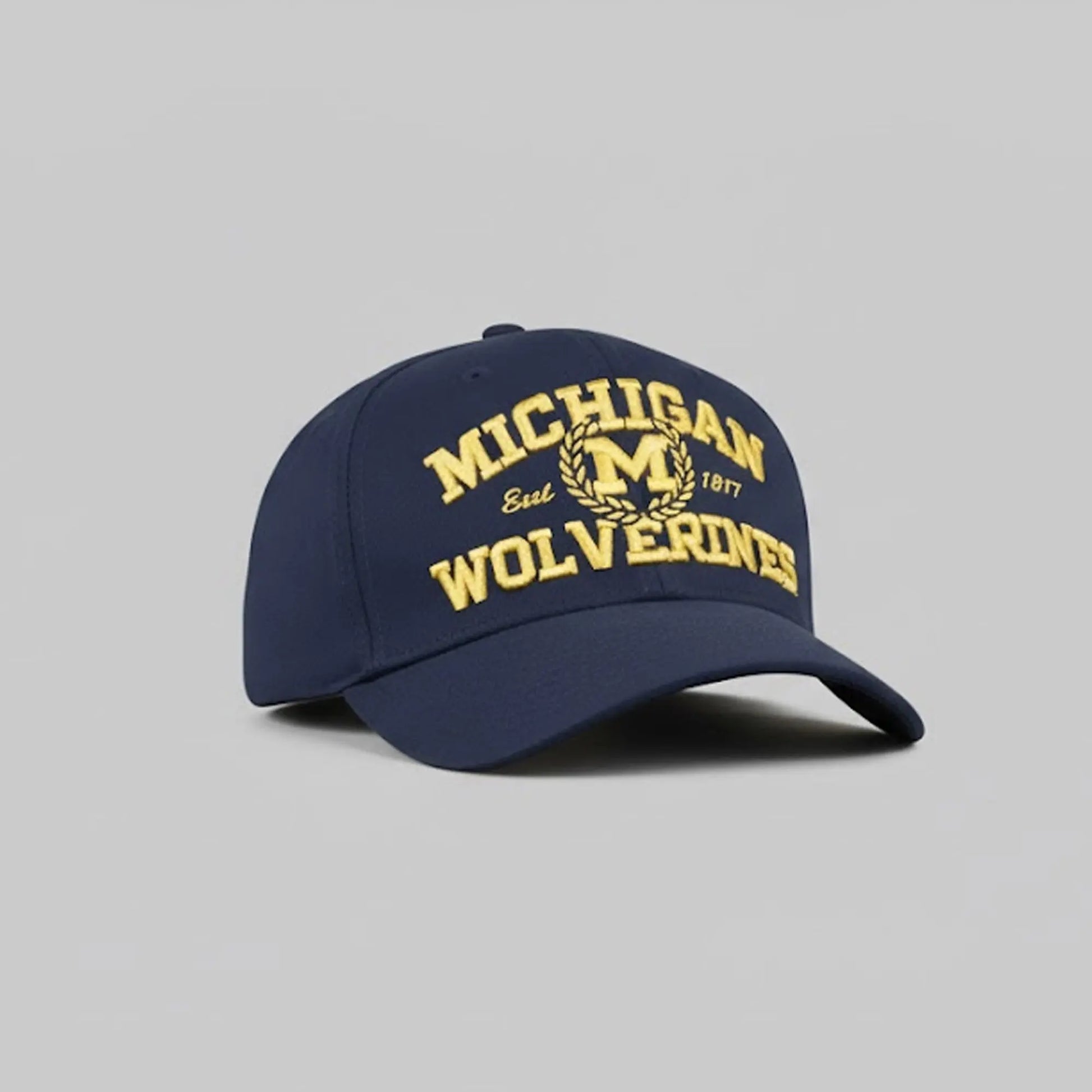2025 Dave Portnoy Michigan Wolverines Baseball Hat theclothingtribe