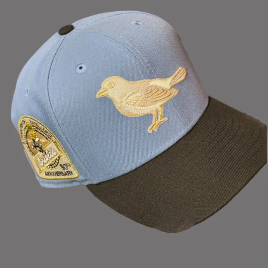 Baltimore Orioles 30th Anniversary Hat theclothingtribe
